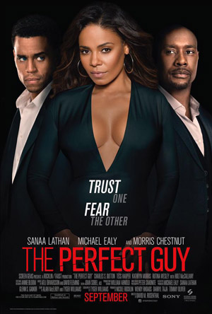 The Perfect Guy movie poster