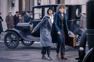 Fantastic Beasts and Where to Find Them movie photo