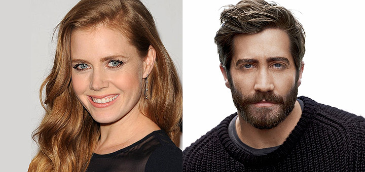 Focus Features Acquires Nocturnal Animals